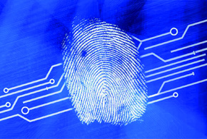 指纹锁市场潜力巨大有待企业挖掘